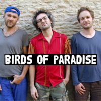 Birds Of Paradise (olivier Py Trio). Le mercredi 23 mars 2016 à BREST. Finistere.  20H30